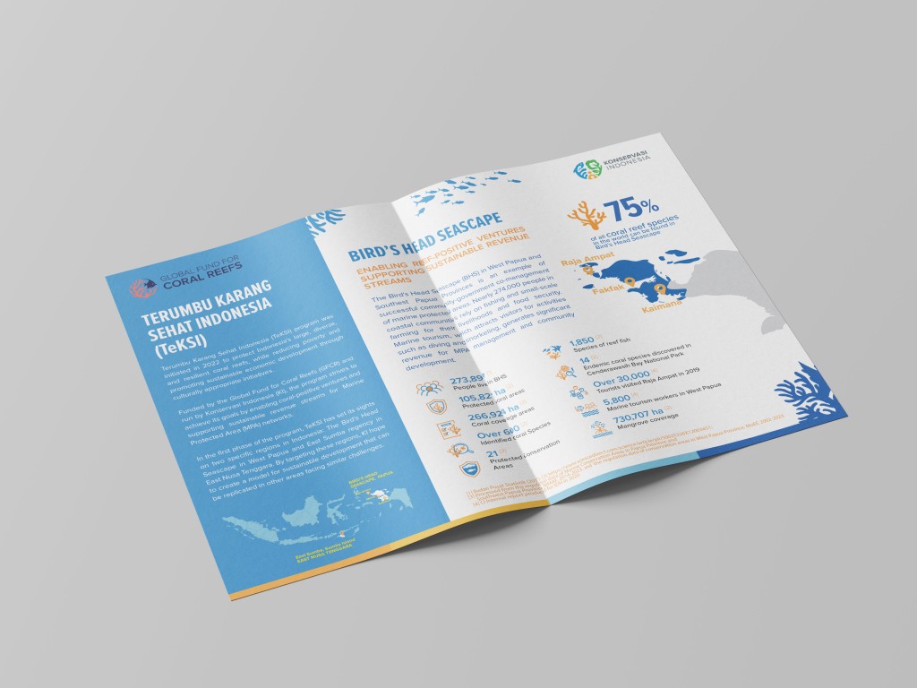 TeKSI programme factsheet, printed and folded