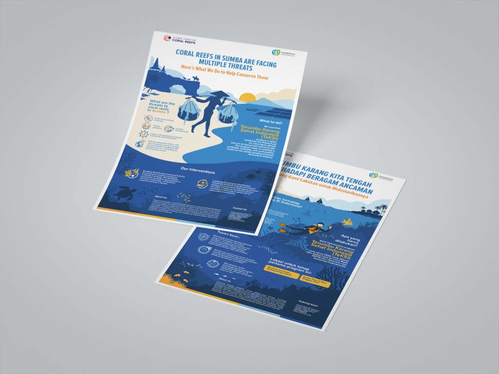 TeKSI posters explaining the coral reef programme